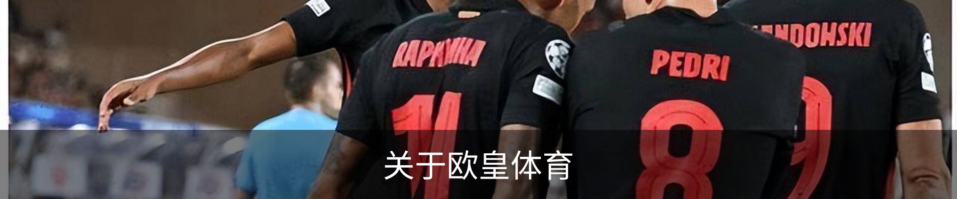关于欧皇体育