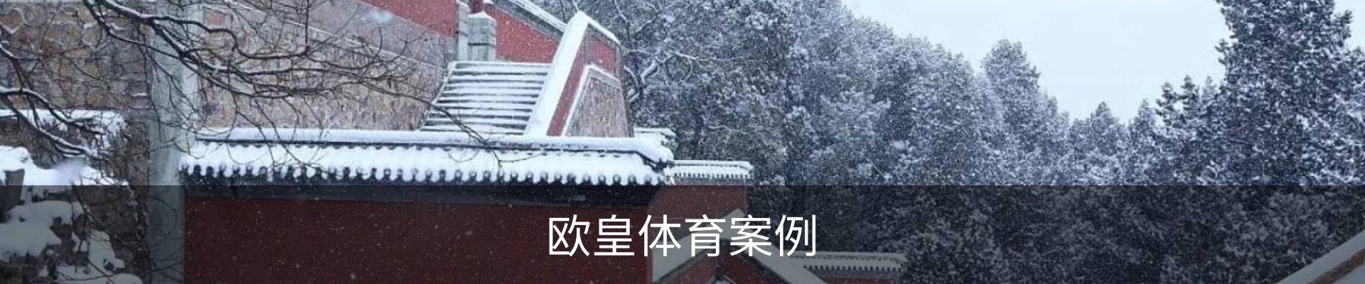 欧皇体育案例